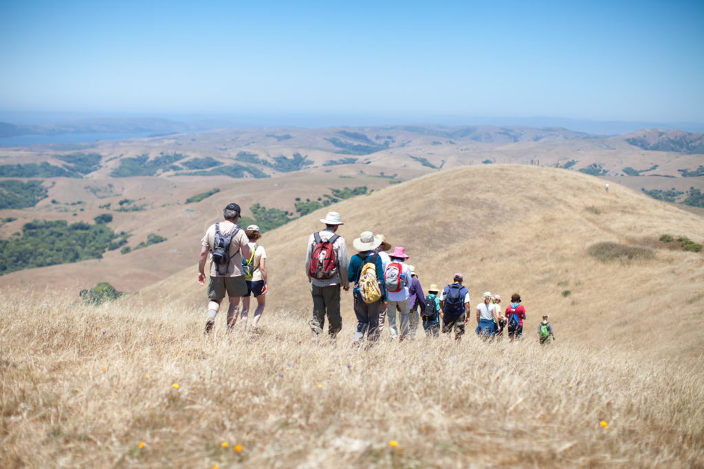 group of people hiking over a golden grassy ridge with rolling hills and blue sky in the background