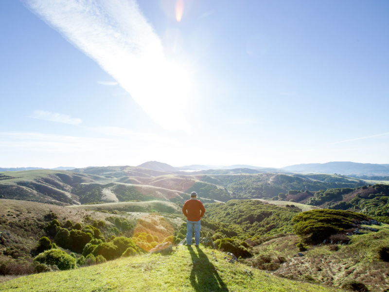 Man atop a green hill, looking out at more rolling hills, sunshine, and blue skies. Photo by Paige Green.