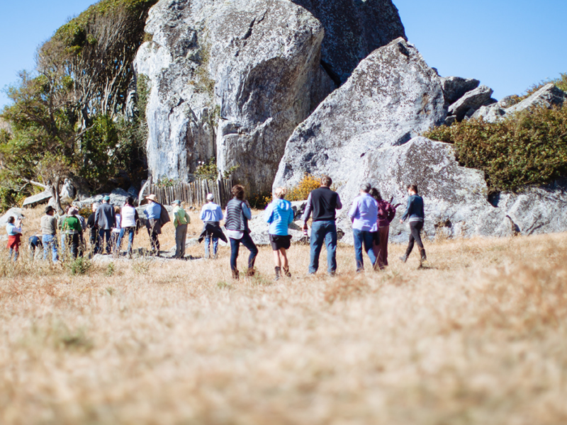 A group of people hiking in a golden field by large gray boulders