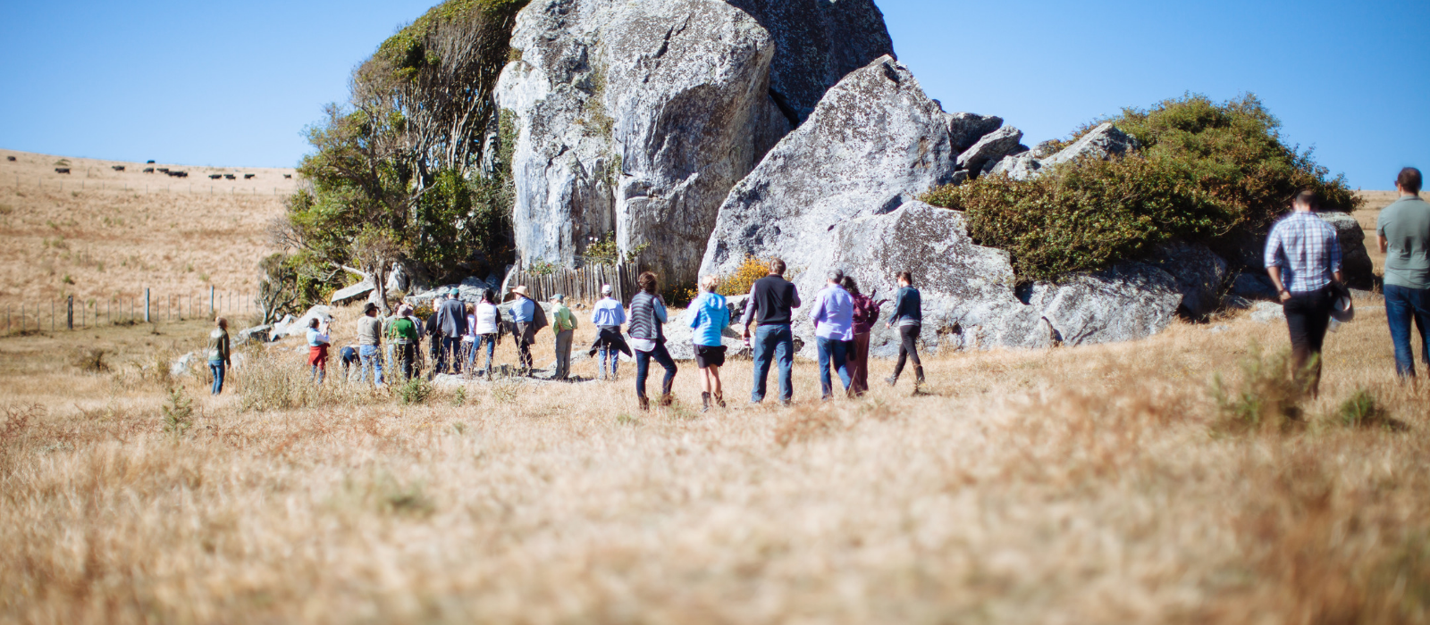 A group of people hiking in a golden field by large gray boulders
