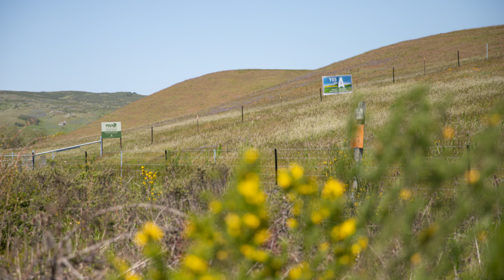 Measure A sign in West Marin - MALT