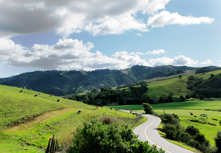 Highway 1 bending through section of  Marin County farmland. 