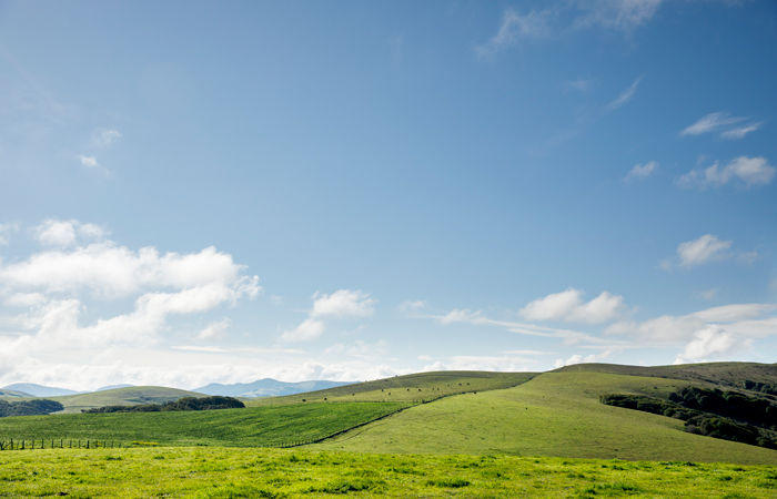 Expansive view of McDowell Ranch near Tomales, Marin County
