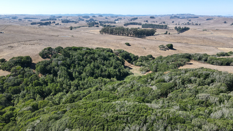 An expansive, aerial view of the 723-acres at the MALT-protected McDowell Ranch. 