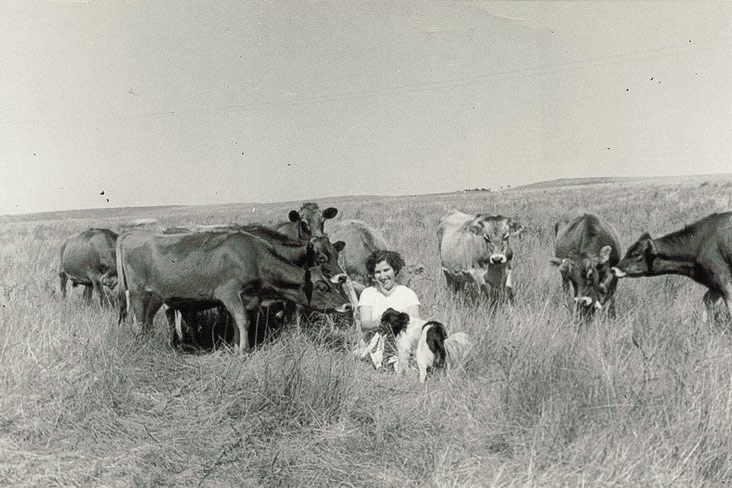 Ellen Straus enjoying time with her cows in the pasture - MALT