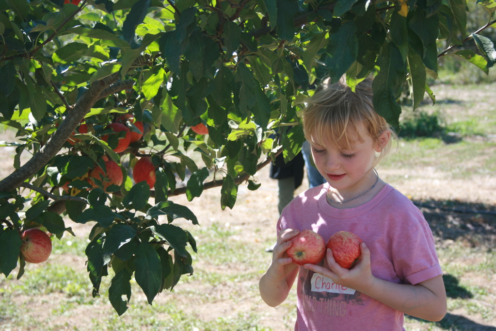 Girl holding two apples under an apple tree.