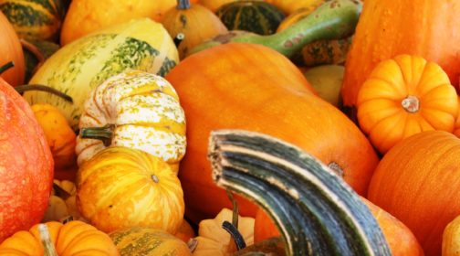 assorted green, orange, and yellow pumpkins and gourds