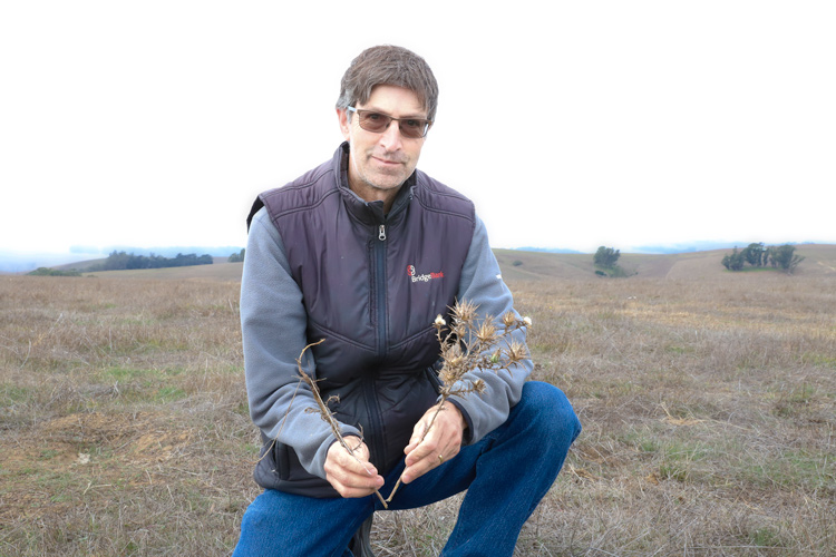 Sam Cohen, displaying an invasive weed.