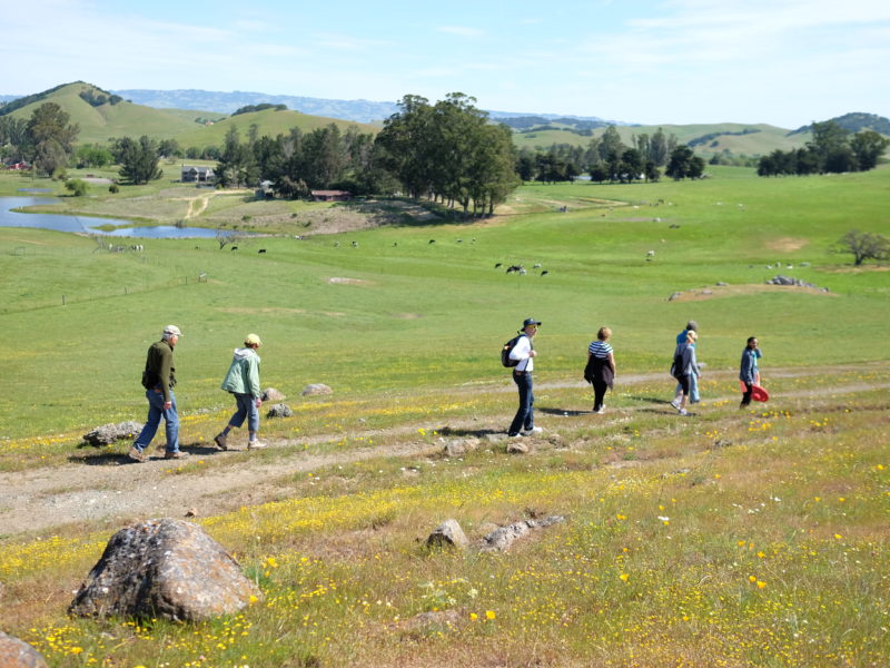 People walking in a large green field.