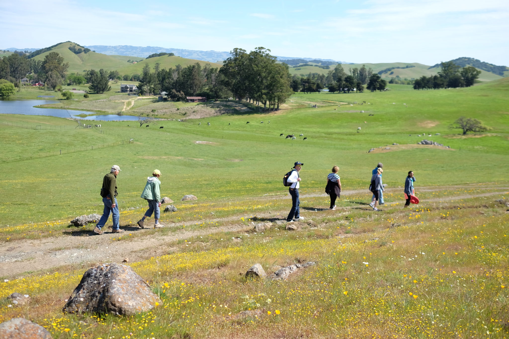 People walking in a large green field.