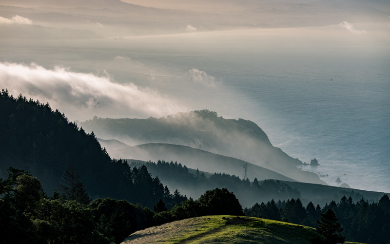 View of Mount Tamalpais of incoming fog during the wildflower season. 