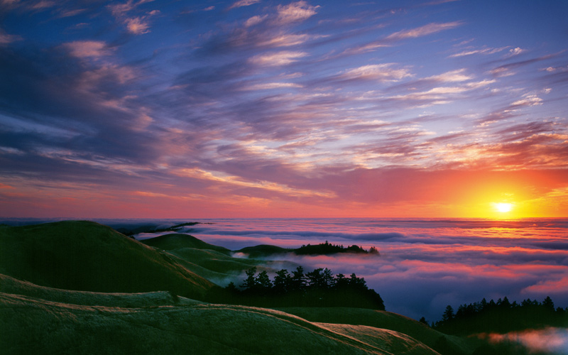 Sunset from the Bolinas Ridge - one of the best places to see the spring wildflowers in Marin County. 