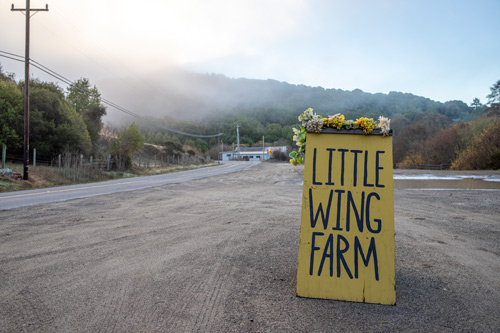 Little Wing Farm sign outside of the farm stand - MALT