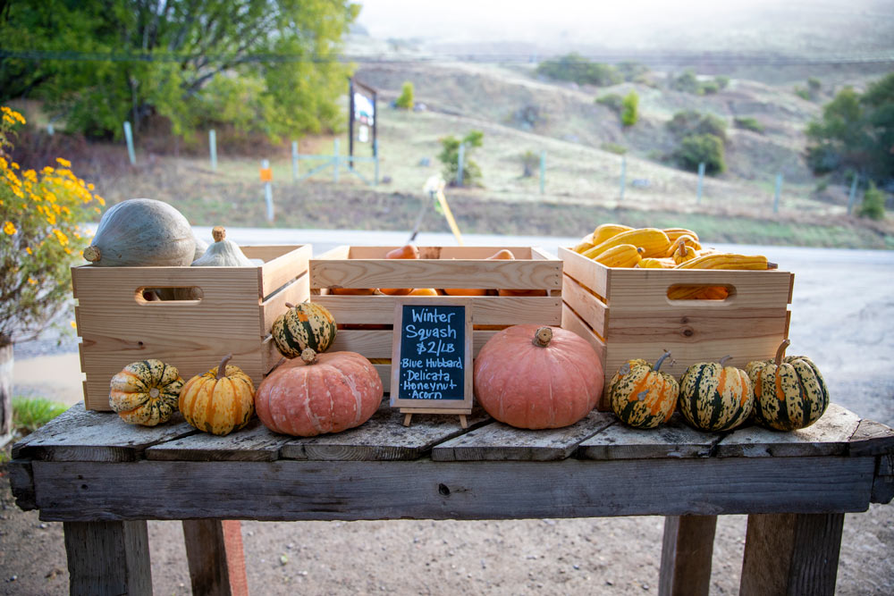 Winter produce on display at the Little Wing Farm Stand - MALT