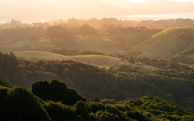 Sunsetting over Marin County - drought report - MALT