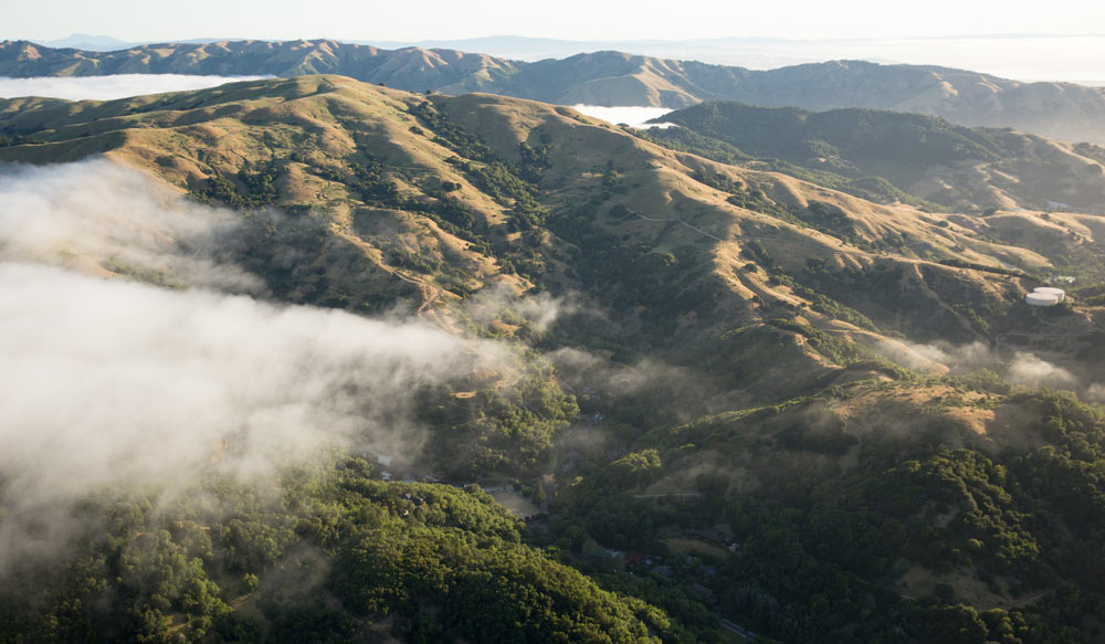Aerial view of Marin's thriving ranchlands. MALT