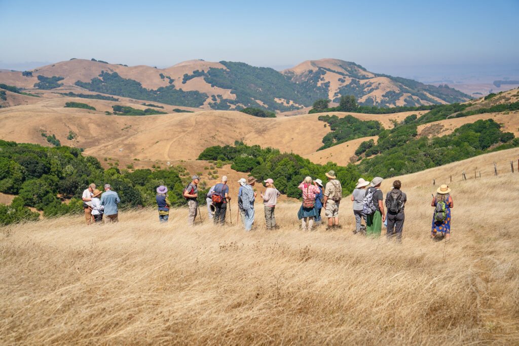 A group of hikers stand with sun hats on and hiking poles in hand, atop a yellow grass hillside, with rolling yellow and green hills in the background. Photo by Jeff Lewis for MALT.