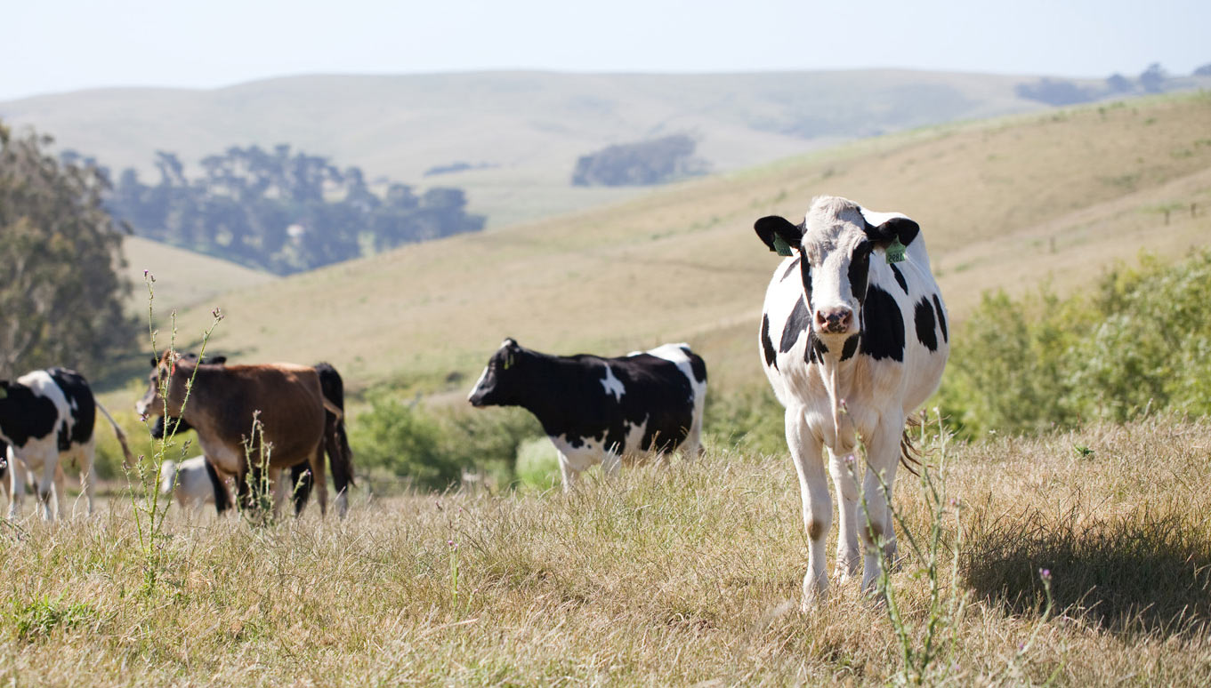 Agricultural Community Happy Hour Marin Agricultural Land Trust
