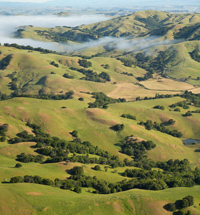 Aerial image of Marin County farmland.