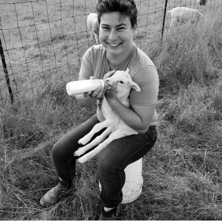 Bronte Edwards bottle feeding one of her baby lambs.