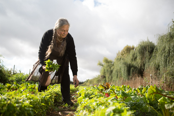 Janet Brown working her vegetable farm. 