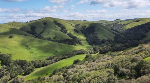 Aerial view of the Corda Family Ranch in Marin County - MALT
