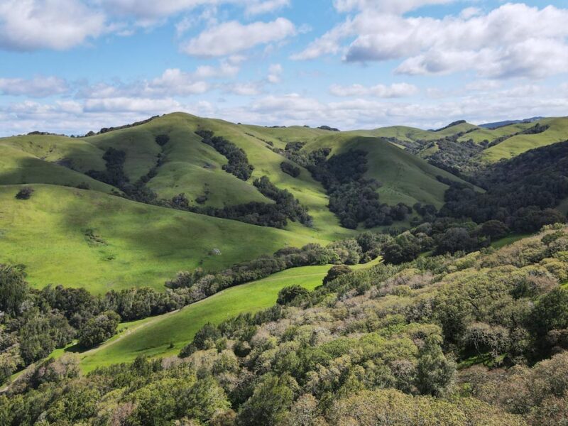 Aerial view of the Corda Family Ranch in Marin County - MALT