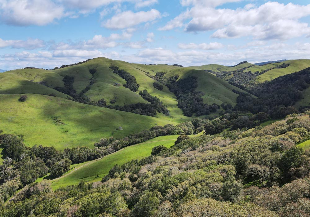 Aerial view of the Corda Family Ranch in Marin County - MALT