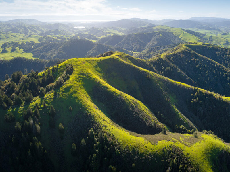 Aerial view of Hicks Mountain, Marin County - MALT