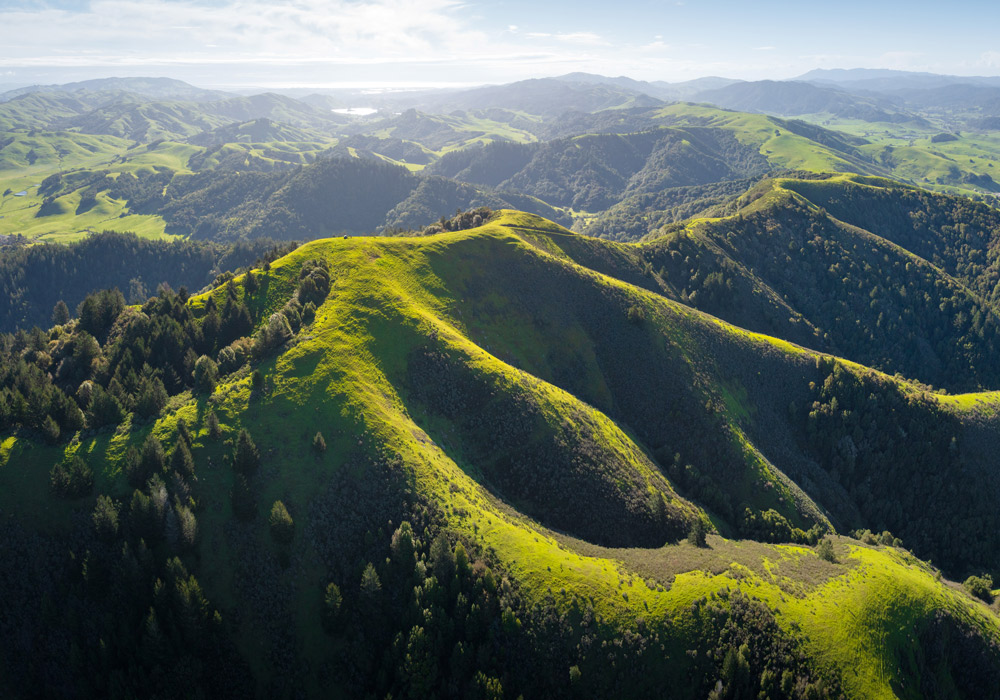 Aerial view of Hicks Mountain, Marin County - MALT