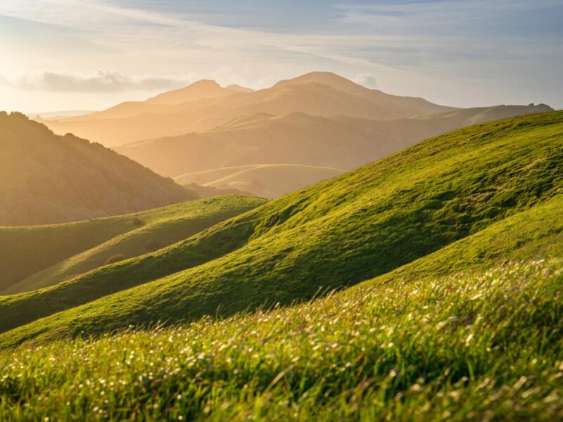 Springtime view of Marin County ranchlands - MALT