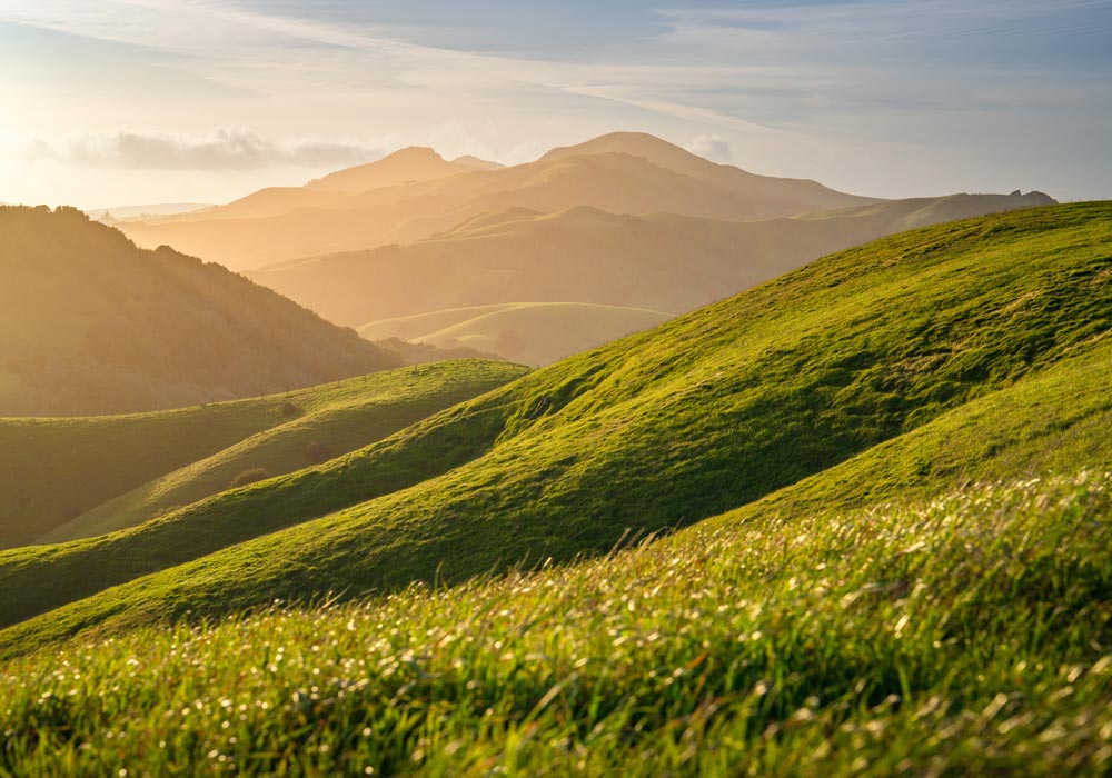Springtime view of Marin County ranchlands - MALT