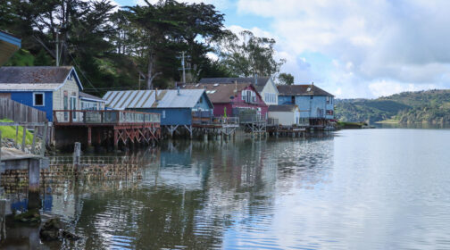 Several colorful houseboats sit on the coast of Tomales Bay