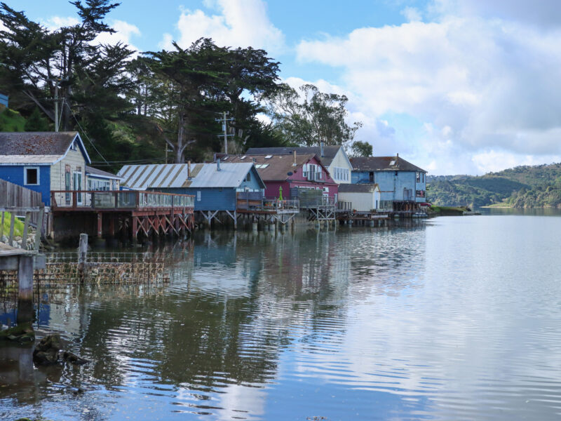 Several colorful houseboats sit on the coast of Tomales Bay