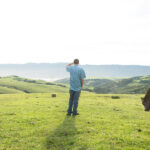 Rancher esamina la distanza con il bestiame.