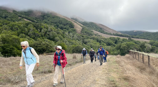 Hikers climb up Black Mountain at MALT's hike at Black Mountain Ranch