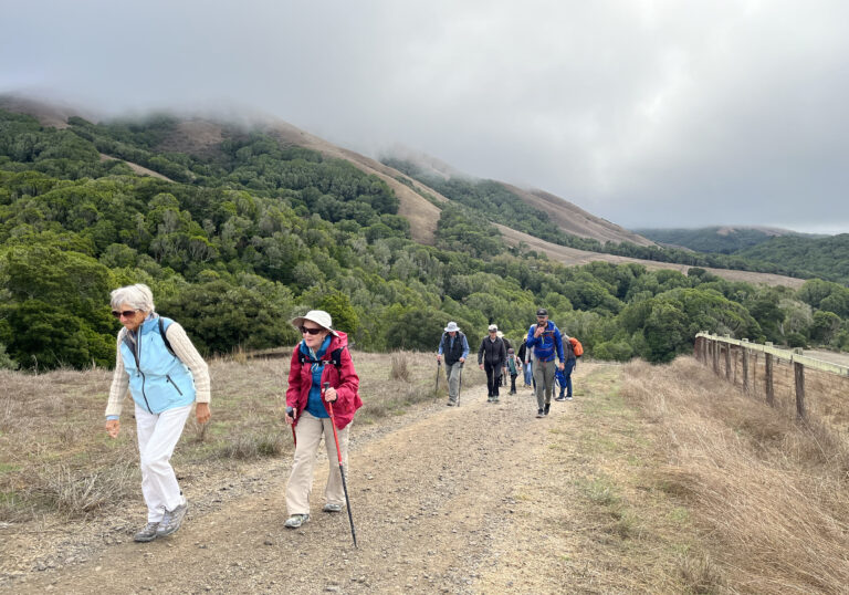 Hikers climb up Black Mountain at MALT's hike at Black Mountain Ranch