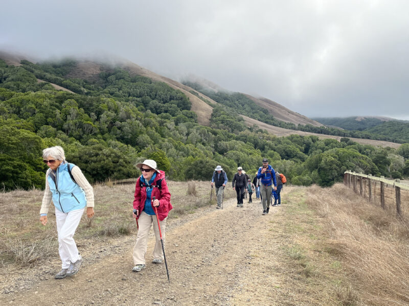 Hikers climb up Black Mountain at MALT's hike at Black Mountain Ranch