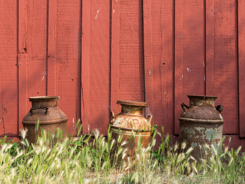 Old milk pales at the Straus Home Ranch