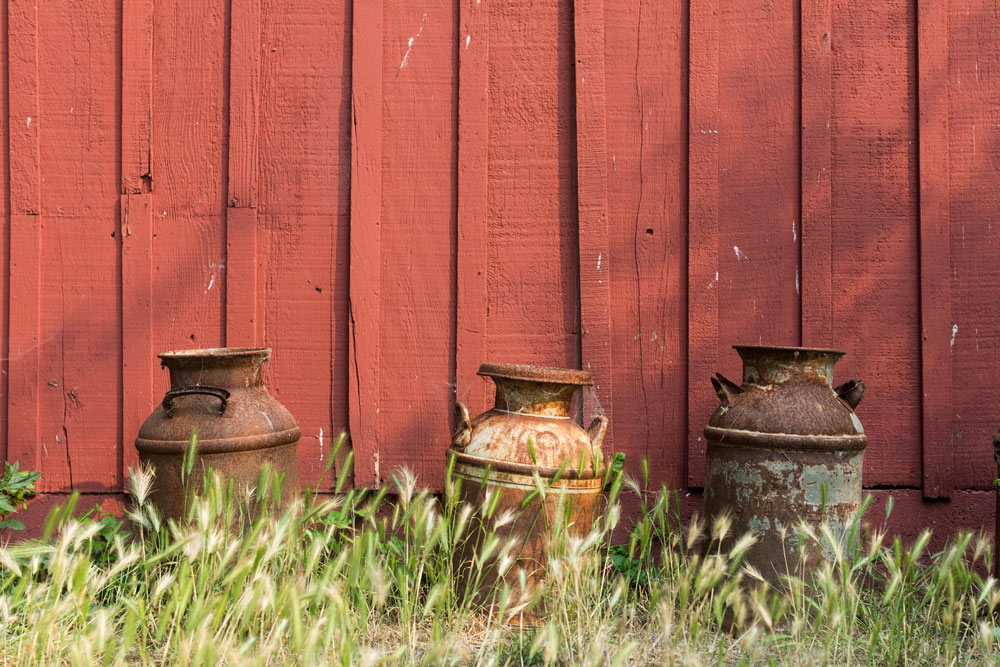 Old milk pales at the Straus Home Ranch