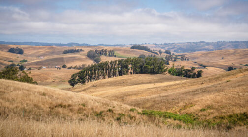 A view of the Parks Home Ranch near Tomales, CA