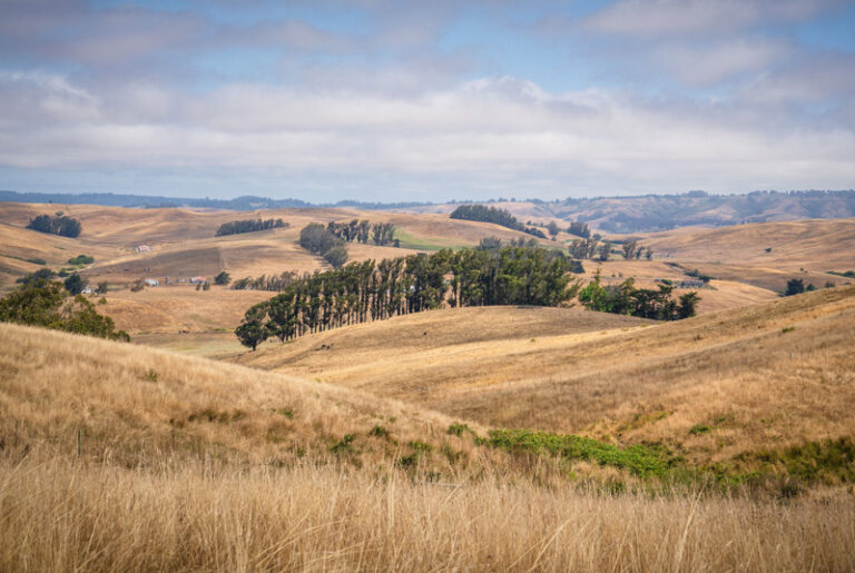 A view of the Parks Home Ranch near Tomales, CA