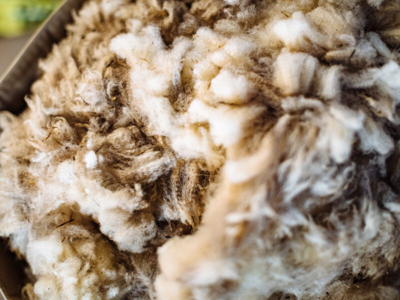 a collection of sheared wool