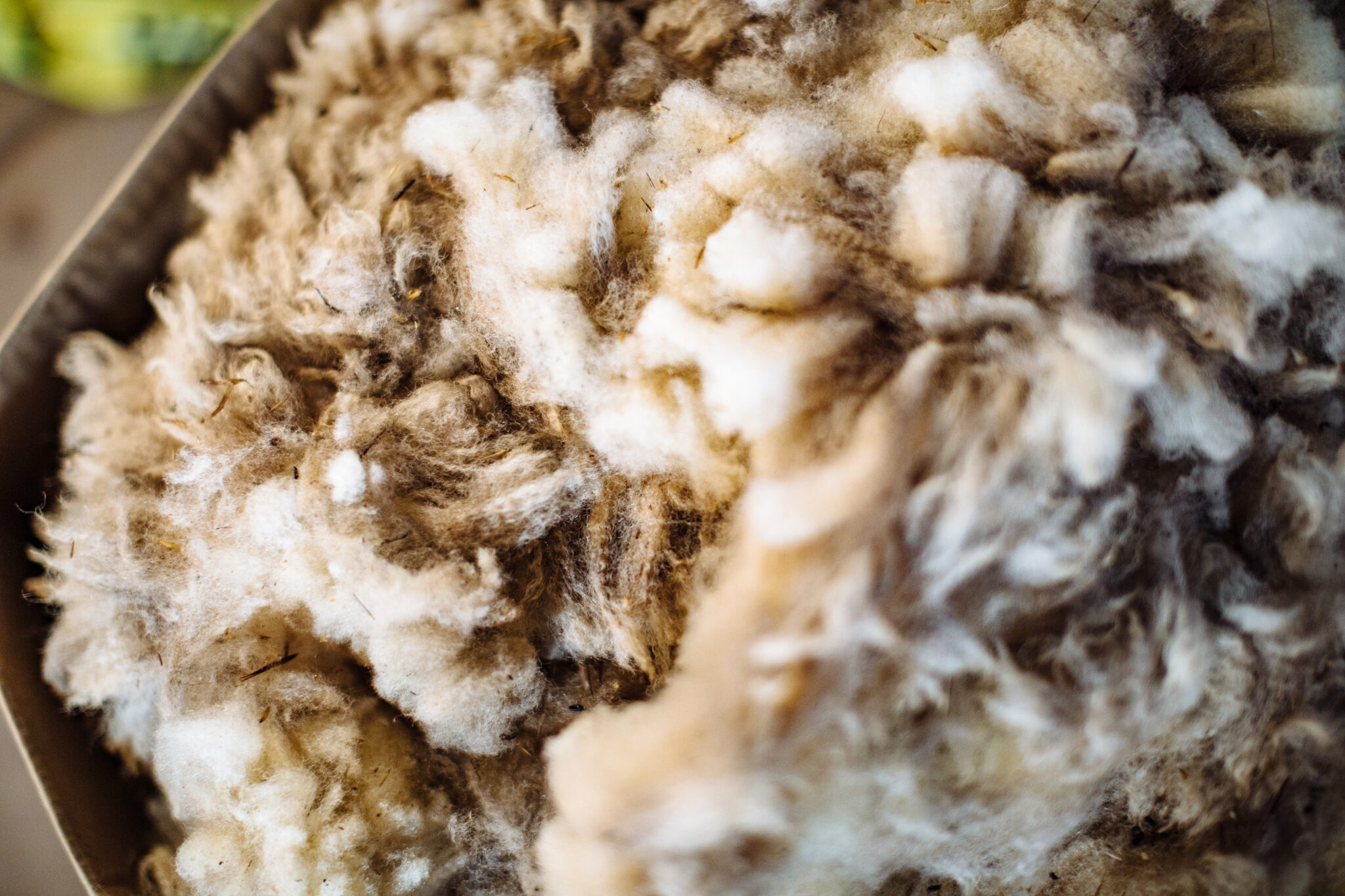 a collection of sheared wool