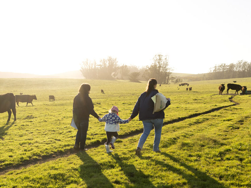 Multi-generation ranching family walking hand-in-hand across the pasture.
