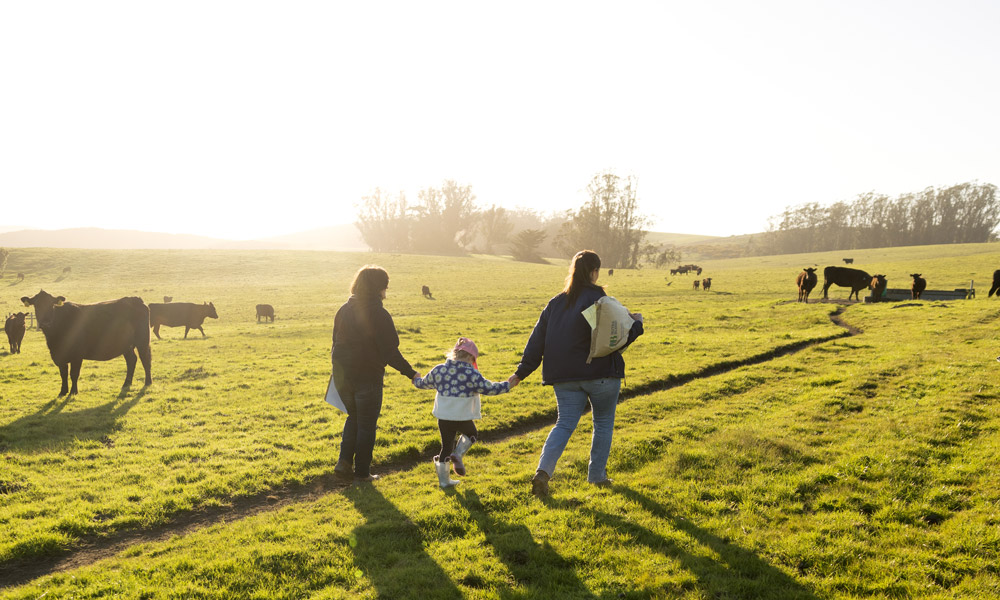 Multi-generation ranching family walking hand-in-hand across the pasture.