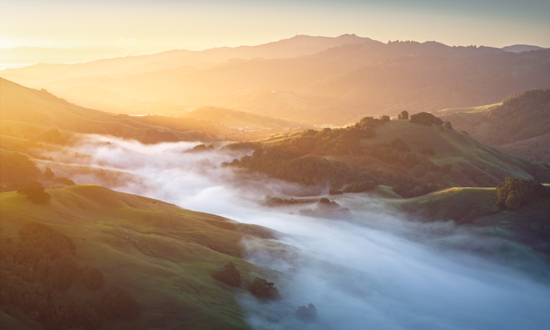 Aerial view of Marin County - and land protected through Measure A - MALT