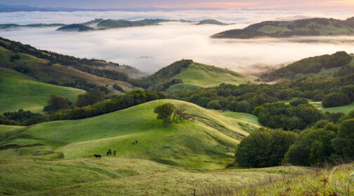Marin County ranchlands - strategic framework.