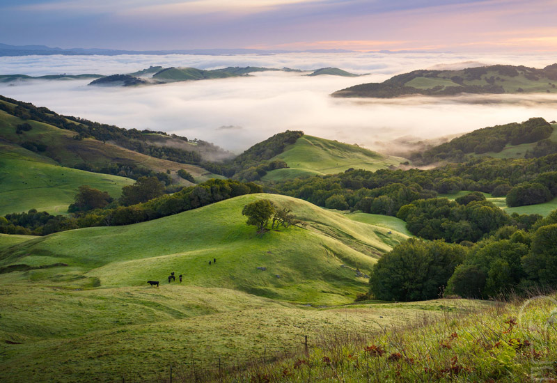 Marin County ranchlands - strategic framework.