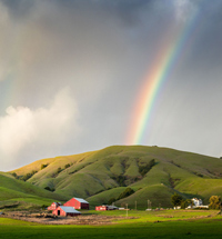 Rainbow over Marin County farmland.